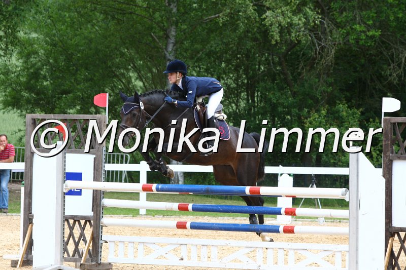 006M7337_Spring L.JPG